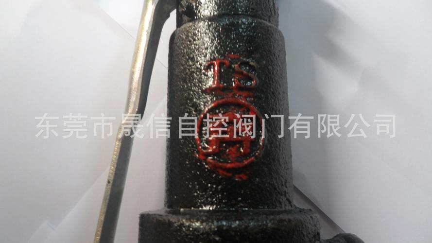 广东厂家直销 带手柄螺纹连接微启式安全阀与弹簧式螺纹止回阀全解析